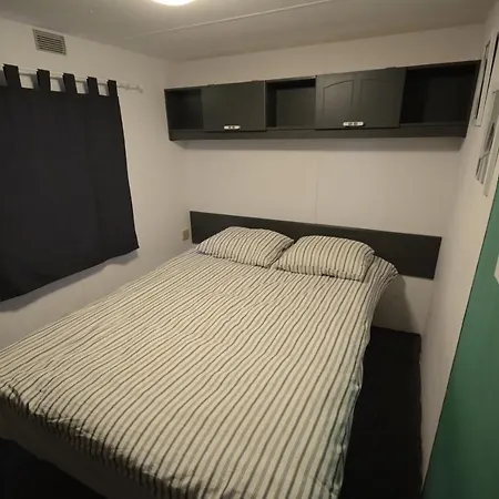 Owls Camp * Karwienskie Bloto Drugie