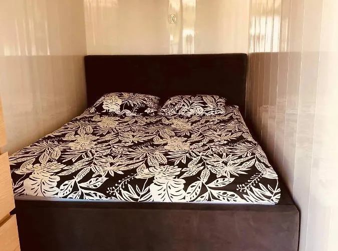 Semesterbostad Owls Camp *